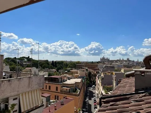 Roof In *